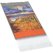 5 x 7" Clear View Poly Mailers image