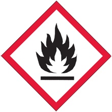2 x 2" Pictogram - Flame Labels image