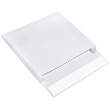 10 x 13 x 2" Expandable Ship-Lite® Envelopes image