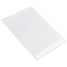 10 x 13" Flat Ship-Lite® Envelopes image